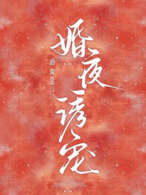 婚夜诱宠封面