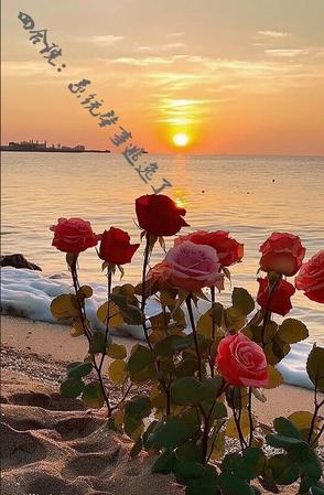 四合院：系统肇事逃逸了封面