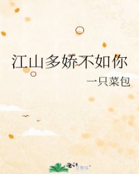江山多娇不如你封面