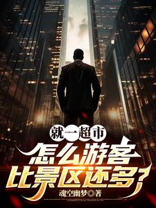我就开个超市，省里怎么来人了封面