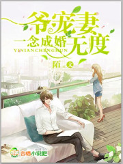 一念成婚：爷宠妻无度封面