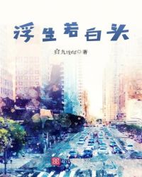 浮生若白头封面