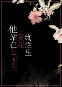 他站在夏花绚烂里封面