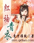红袖青衣封面