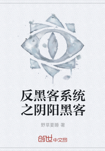反黑客系统之阴阳黑客封面