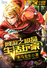 网游之极品生活玩家封面