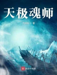 天极魂师封面