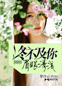 终不及你眉眼清浅封面