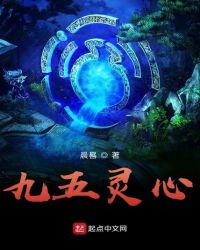 九五灵心封面
