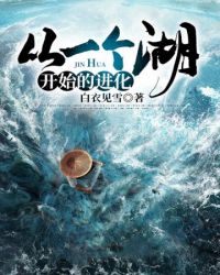 从一个湖开始的进化封面