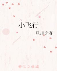 小飞行封面