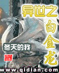 异世之白金龙封面