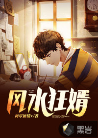 风水狂婿封面