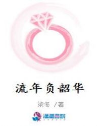 流年负韶华封面