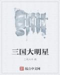 三国大明星封面