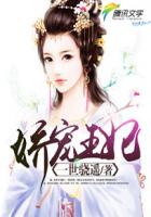 娇宠王妃封面