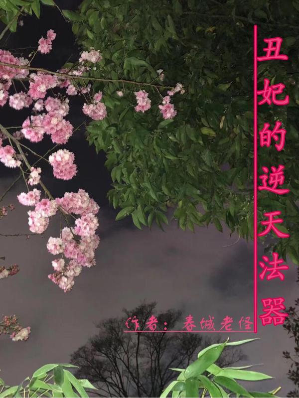 丑妃的逆天法器封面