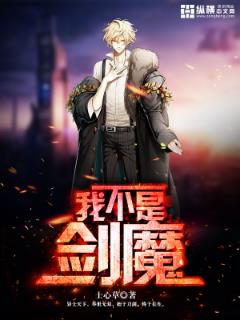 我不是剑魔封面