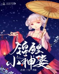 锦鲤小神婆封面