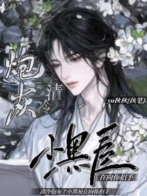 清冷炮灰？小黑屋在向你招手封面