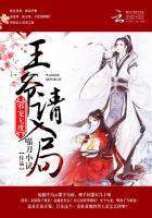 邪宠无度：王爷，请入局！封面