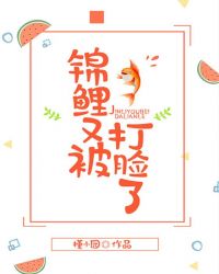 锦鲤又被打脸了封面