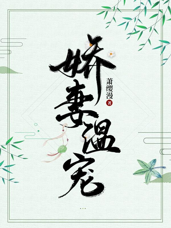 娇妻温宠封面