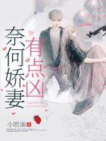 奈何娇妻有点凶封面