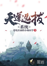 天道选拔系统封面