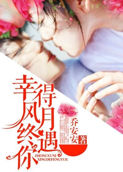 幸得风月终遇你封面