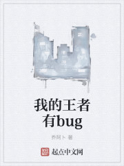 我的王者有bug封面