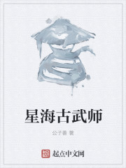 星海古武师封面