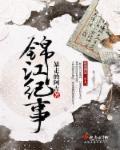 锦江纪事封面