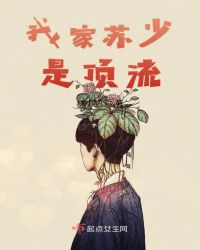 我家苏少是顶流封面