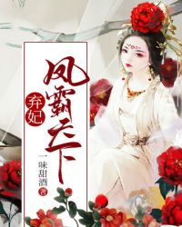 弃妃凤霸天下封面