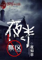 夜半禁区封面