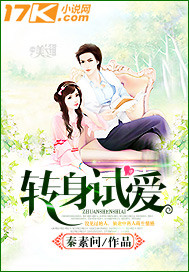 转身试爱封面