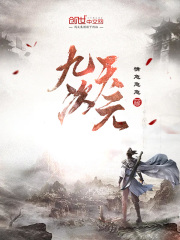九天次元封面