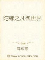 陀螺之凡御世界封面