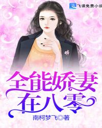 全能娇妻在八零封面
