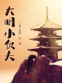 大明小伙夫封面