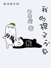 我的孢子分身封面