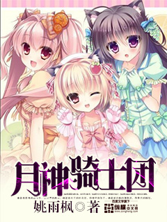 月神骑士团封面