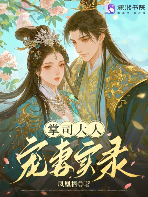 掌司大人宠妻实录封面