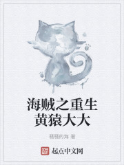 海贼之重生黄猿大大封面