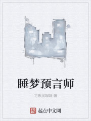 睡梦预言师封面