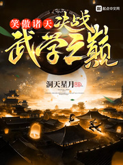 笑傲诸天:决战武学之巅封面