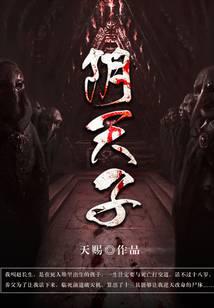 阴天子封面