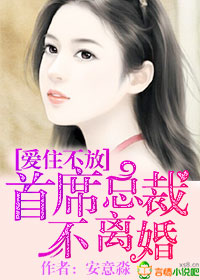 爱住不放,首席总裁不离婚封面