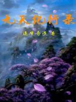 九天纪行录封面